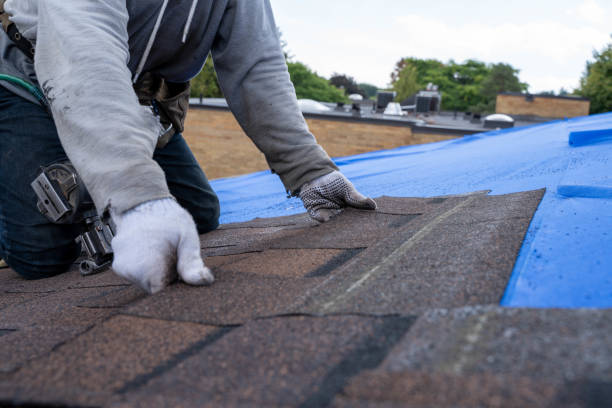 Best Flat Roofing  in Miami Shores, FL