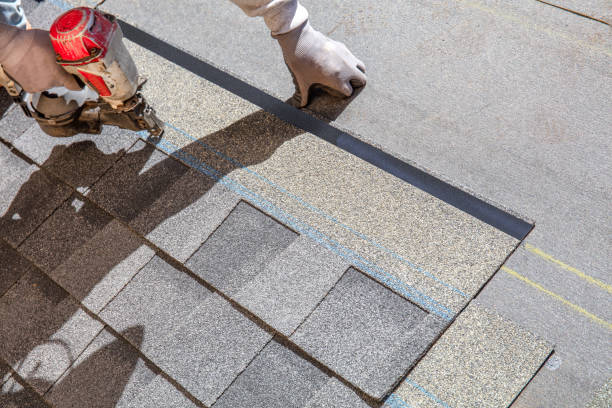 Best Roof Insulation Installation  in Miami Shores, FL